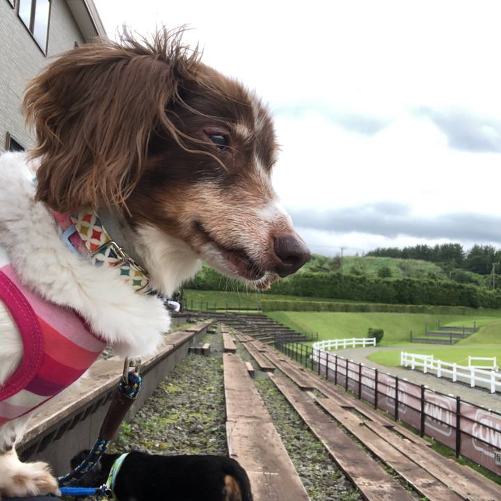 D9fca21c b797 4ffe 8526 f6352e1947b5 1562397532273