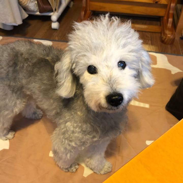 D9fcb1db dbcd 4f1a ae56 e61551fcde4e 1630454799645