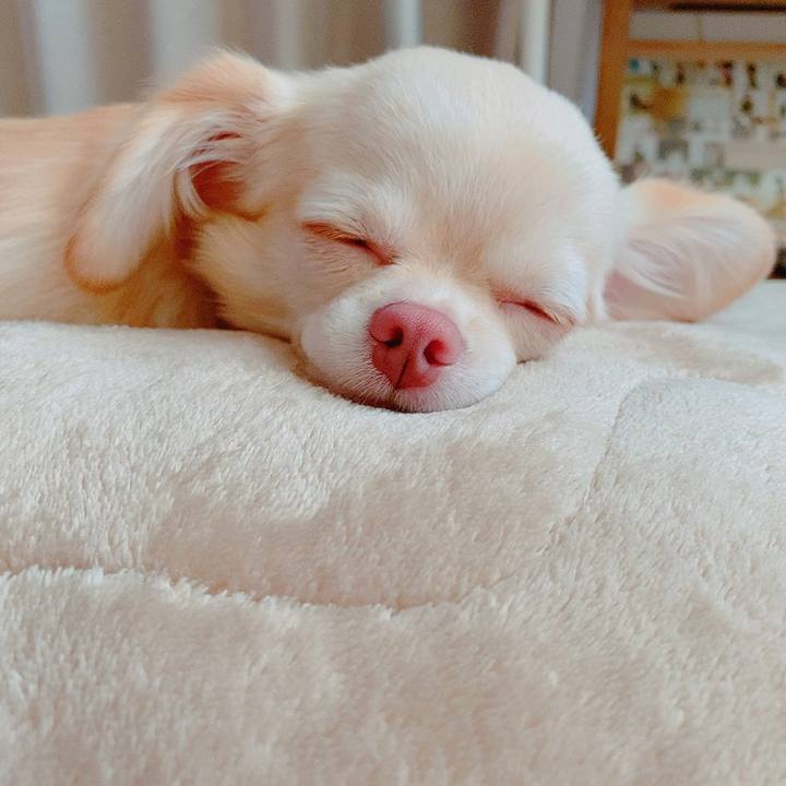 D9fd232b cc81 44fd 95c7 2c8bc292f95d 1629524145459