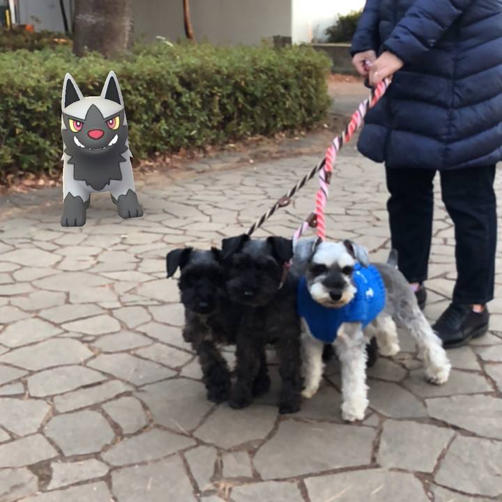 D9fd436d 609f 4842 ba9d c83f2be56046 1514102283694