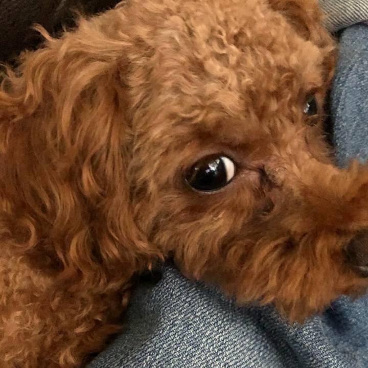 D9fd44af 3942 4b9f b9ca 24b247cee16c 1533594167939