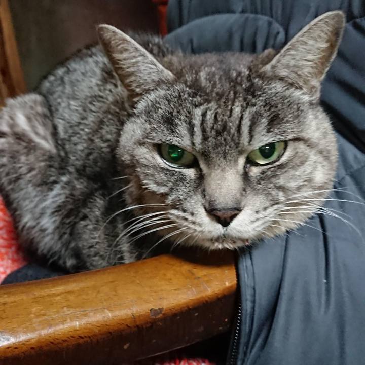 D9fd4920 0081 41f6 935c 1584957b81dd 1550751437892