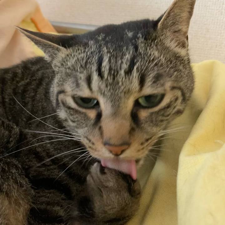 D9fd5015 1020 4db1 89b3 ef1bf1bc1663 1653308907693