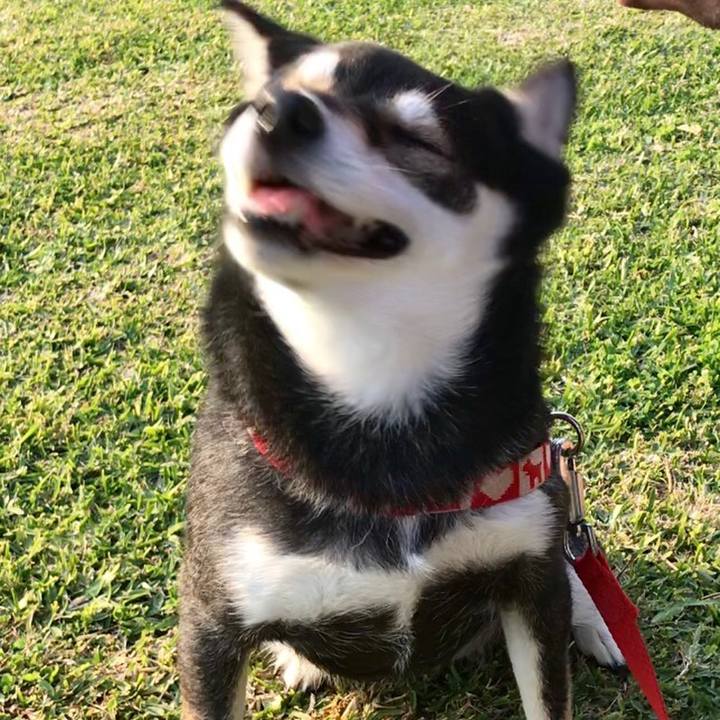 D9fd66f0 a30d 4be3 8d04 fd08944166a6 1520850271970