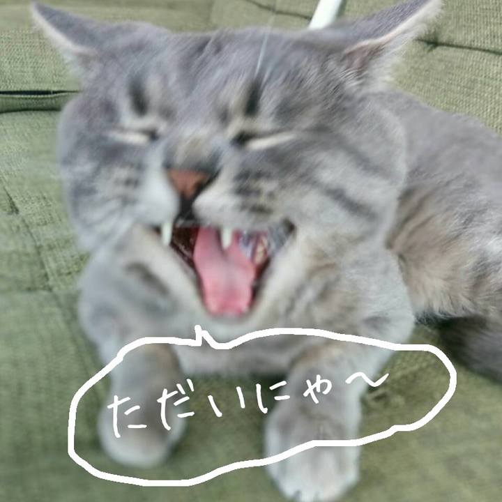 D9fd7796 b449 48e2 9f0f a6802e150c1f 1628900162508