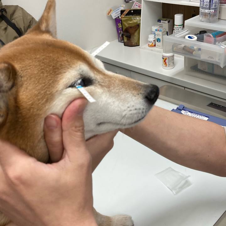 D9fd91bd f195 4d3e a7a6 f7613fa7c7d6 1677468652128