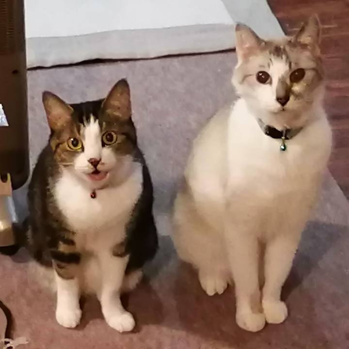 D9fd9b83 9750 475d 804d ea1370752daf 1604742108152