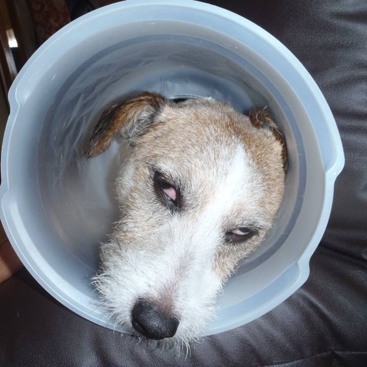 D9fdcacf 3163 400f bed9 dcb83fc5a230 1538904207774