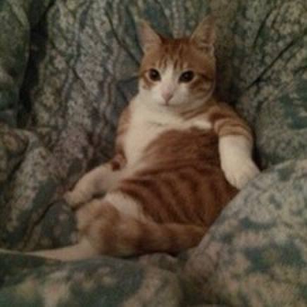 D9fe009e 640a 42da a98b d9a4556c43fd 1580129504423