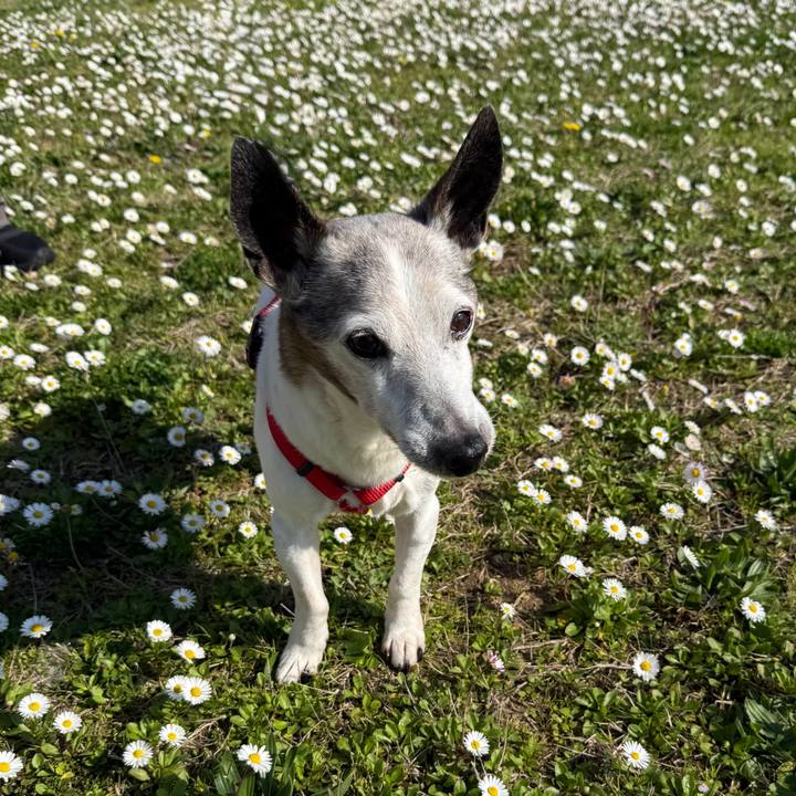 D9fe3bfe 41d8 40a6 a9b8 e3450aea12e0 1772101004782