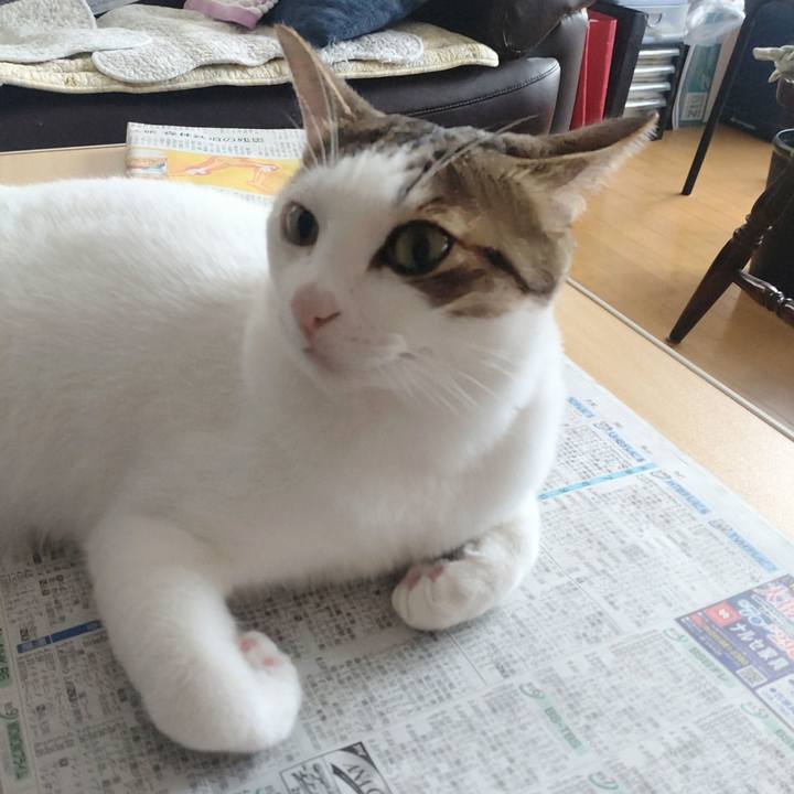 D9fe53ed 90df 4a3e b1c3 07c3195f4e44 1726364823302