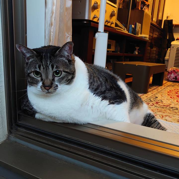 D9fe6276 84da 41c1 9bd9 4156b4a1582e 1599642023587