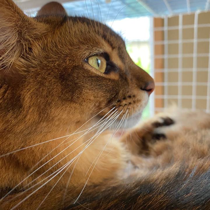 D9fe6eae 6036 487c 853d 4806a05b9ee2 1632889722749