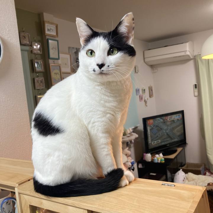 D9fe6f32 0b7e 4209 9886 3afe1e0bde81 1771966823784