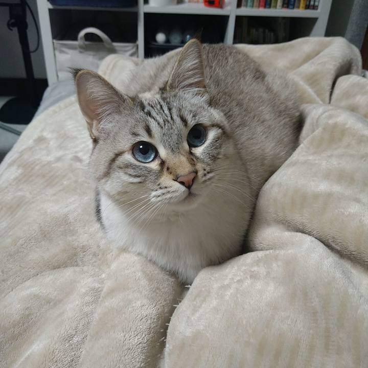 D9fe7bf0 a9b4 4e55 b437 28ca617cb222 1702572135204