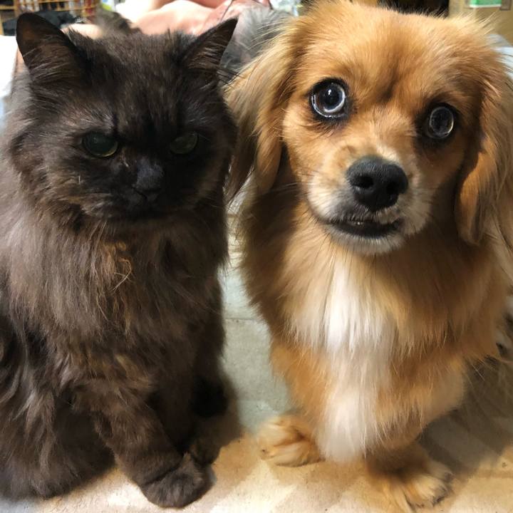 D9fee769 dfd6 45ec ab19 43dd59edf2d4 1530219914412