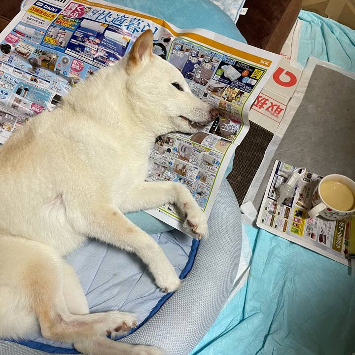 D9ff1c6f e593 4d28 a690 99e1587eaad2 1655132550098