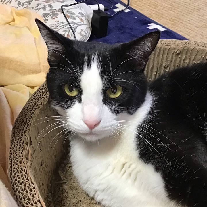 D9ff21c7 3fff 41a2 8e85 7dab014d988c 1735792740591