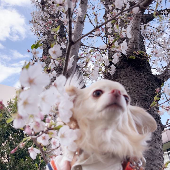 D9ff3ca7 a208 42b2 956f 46656409e8ed 1744010938006