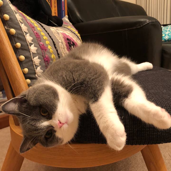 D9ff62f3 9f7d 4b3f b842 c831fefe6bf4 1516797299355