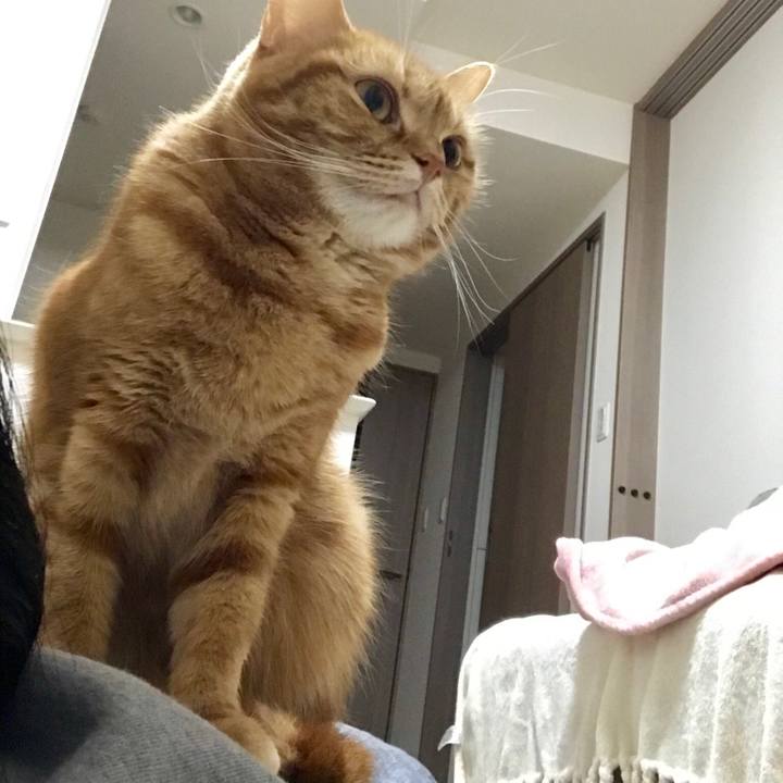 D9ff6861 0d14 46a2 911d a9a372332792 1550364837070