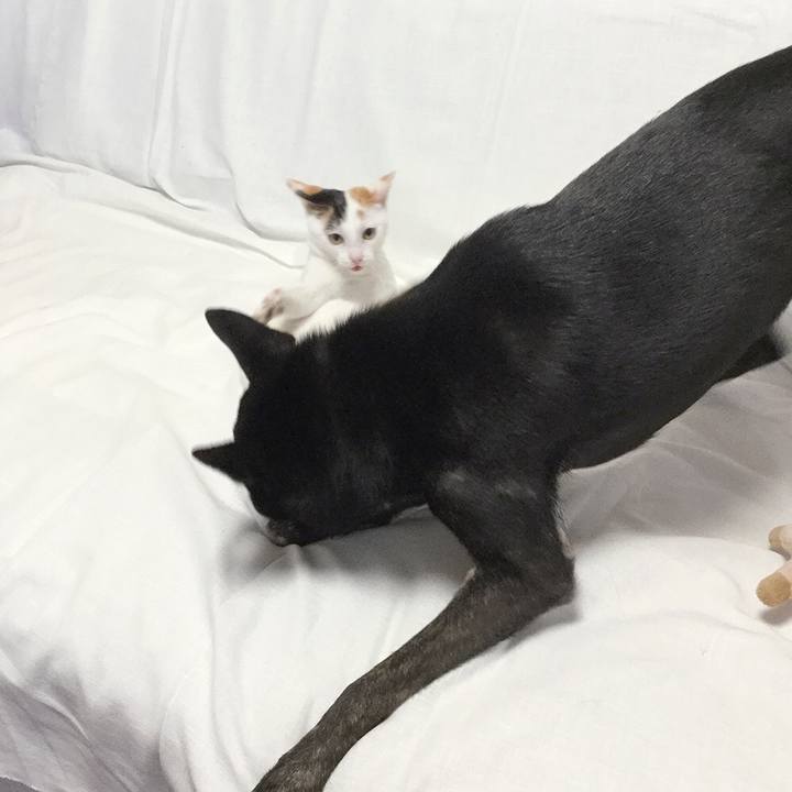 D9ff9789 e9b1 4473 a553 7324f84d0c87 1555120609317