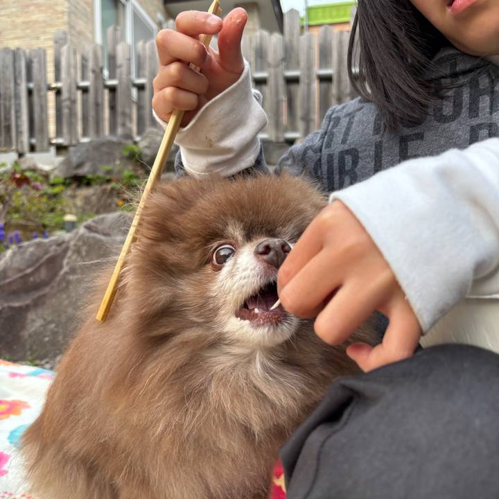 D9ffc618 c902 4415 8492 92c2655dff09 1746432503272