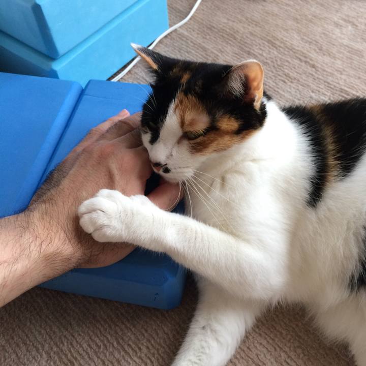 Da002918 50b4 49a1 99c7 6f607444e018 1528844160309