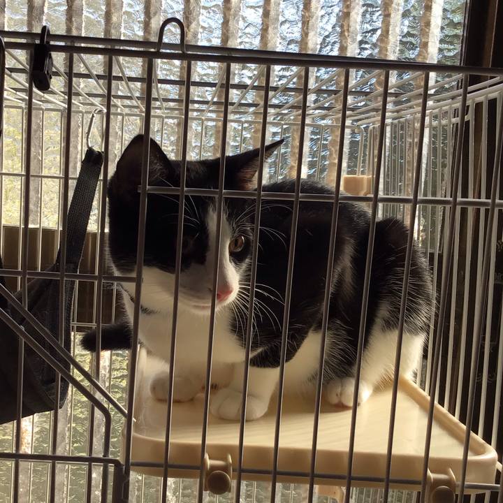 Da002ab8 a0d5 4586 bdbe 512ddfbb5e2d 1633943657260