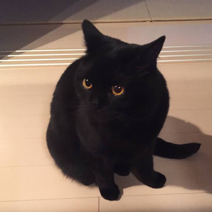 Da00824b 299b 491e b57a 50db2d381970 1525781689777