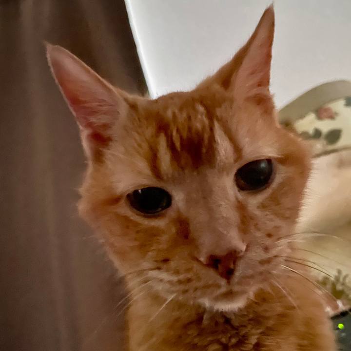 Da0126c3 09f7 45b2 be57 ee009f5350d9 1769478120282