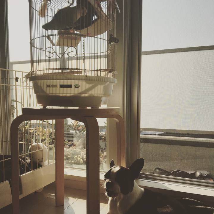 Da012ddd 5360 4d6e a04e 07ab166a9f50 1510282999835