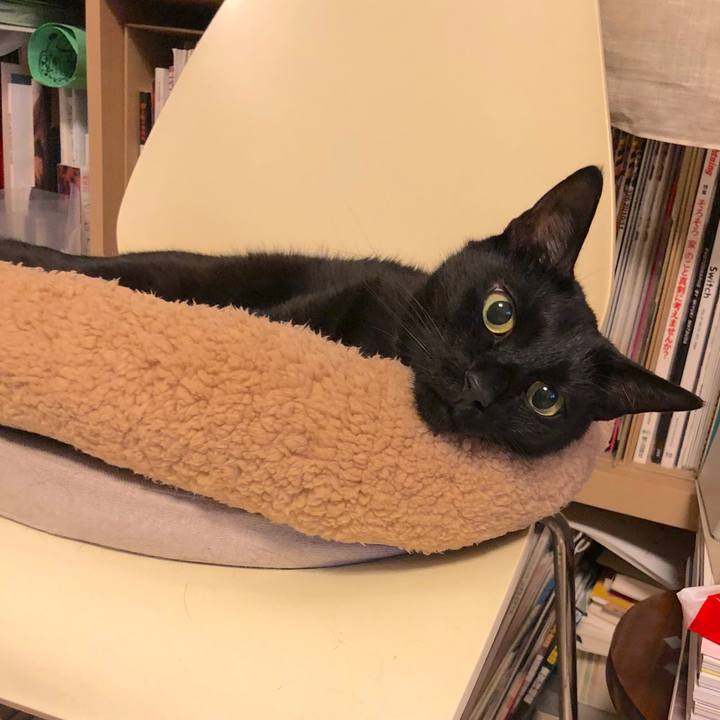 Da0154b1 95ad 4c44 bc9c e7602d316222 1532270215634