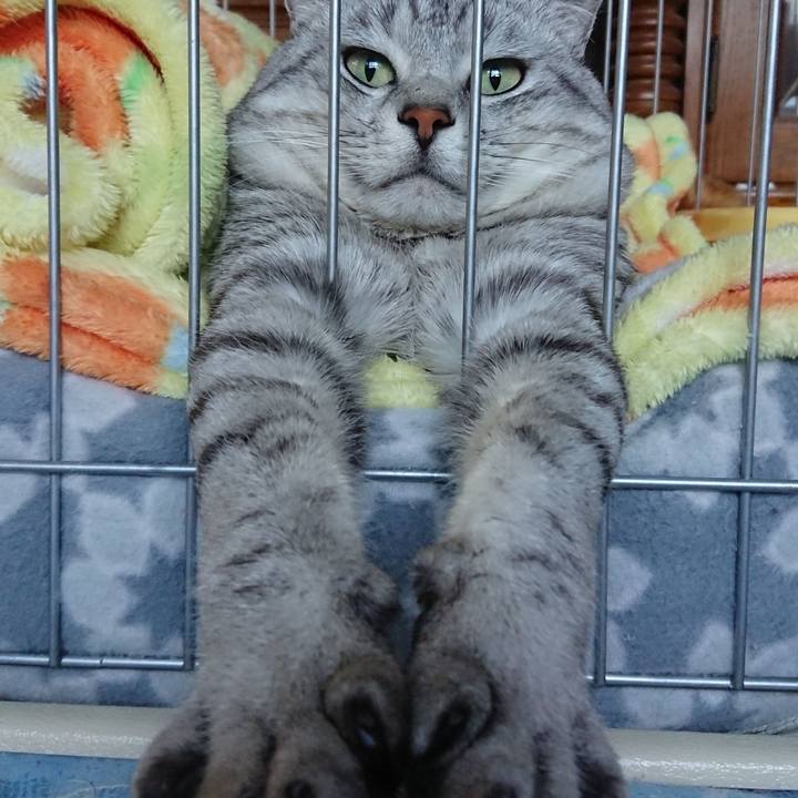 Da01680e 78ab 4924 bef3 fa53c8788536 1528638893724