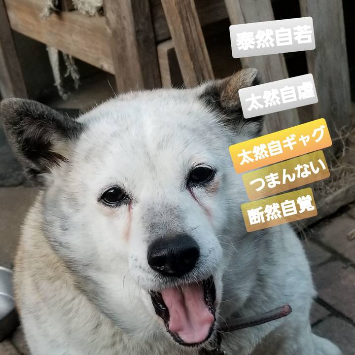 Da01bd76 9374 4a02 be43 468a9ffc74e4 1713303382727