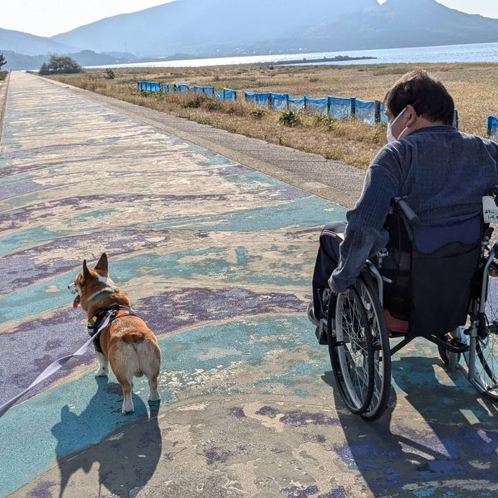 Da01c7d9 978d 423a 9046 5adfc6cc183c 1732970142294