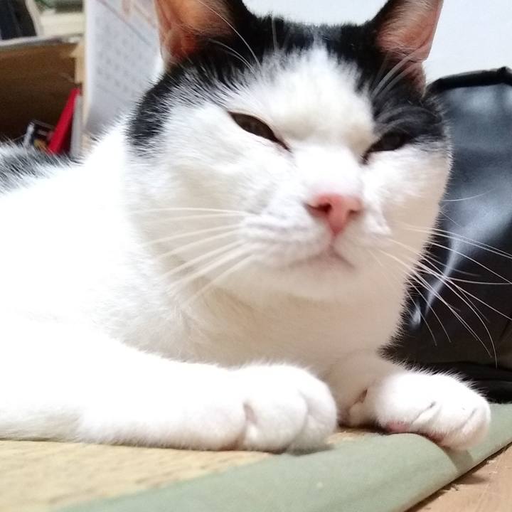 Da025426 7b44 490c 9251 8d1ec162bc44 1557574795809