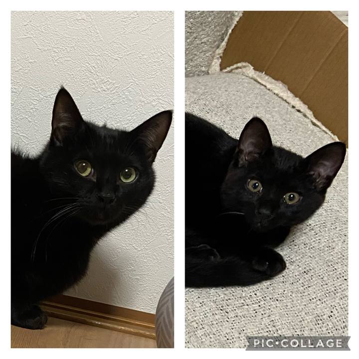 Da025ef7 b0b0 48d6 8857 8dec43e8bb2d 1653911675772