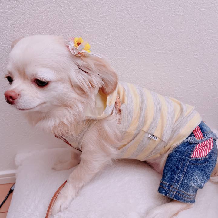 Da026aa0 1e52 443e baaf aa3a41d8b9e3 1682067619707