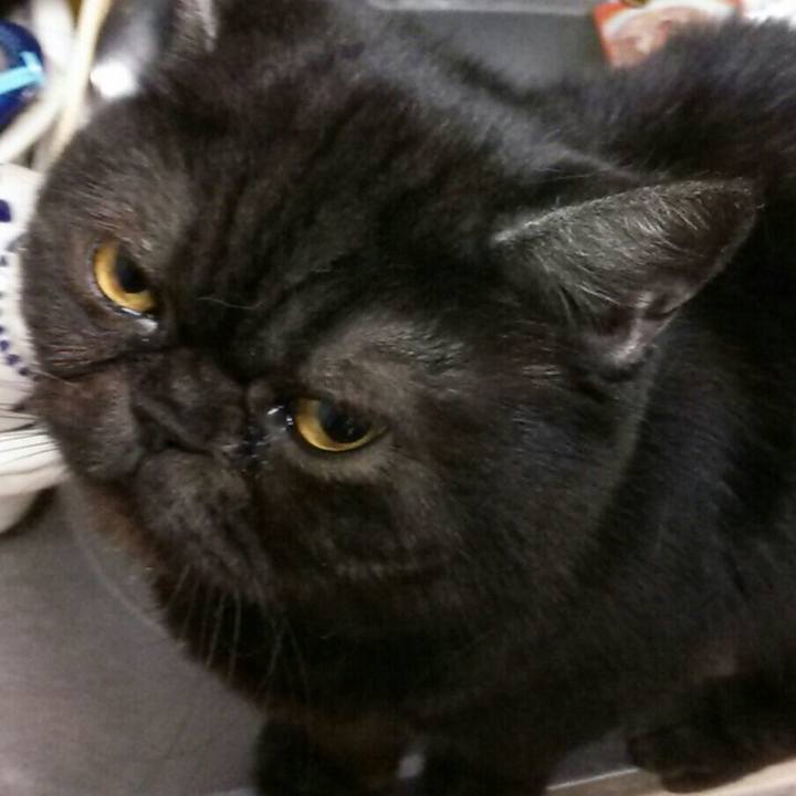 Da0288f2 9640 4a9c 8f8d 7f1e0dc4d1ed 1552813479136