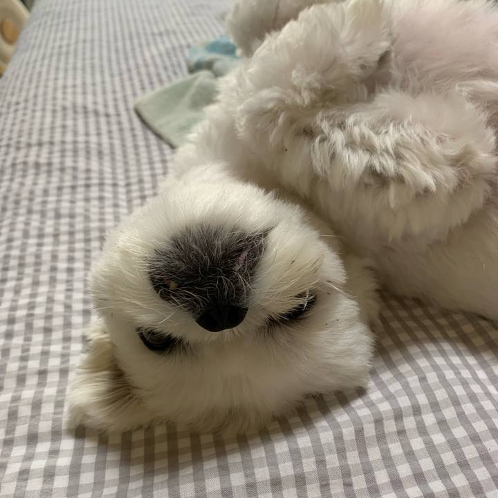 Da028fa8 5b4e 4546 8313 c30907a3e295 1656078925352