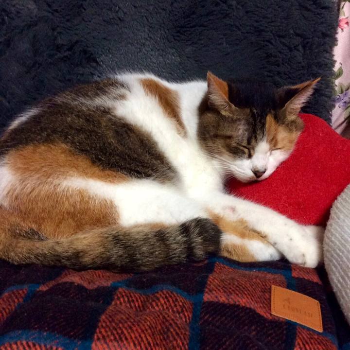 Da02a601 51d4 434d bd5d 3809caa2801c 1571579572294