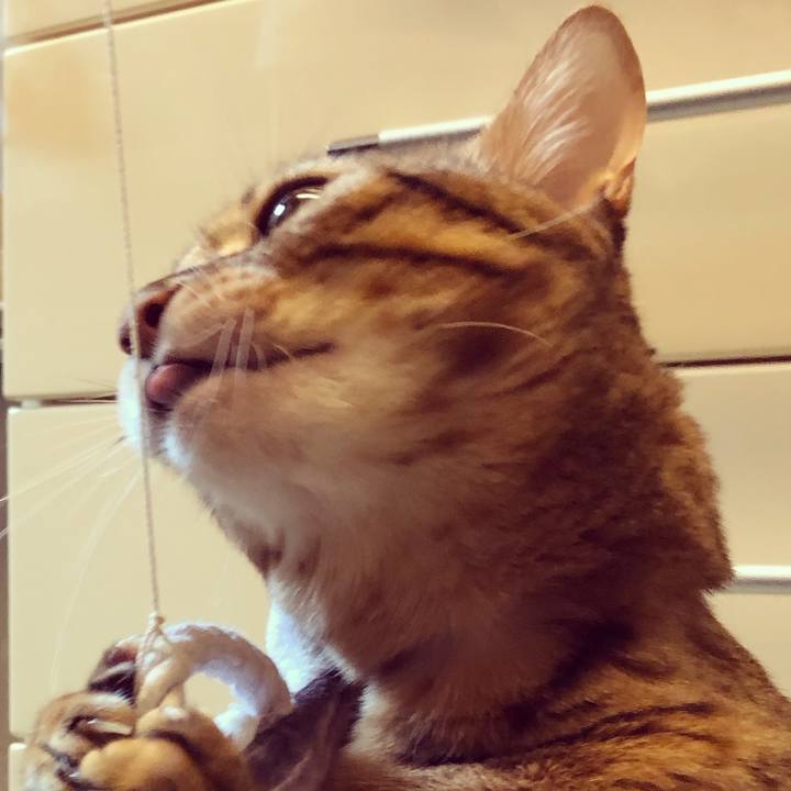 Da02ac10 9f47 4e2f 9cf8 76c854002087 1569625694566