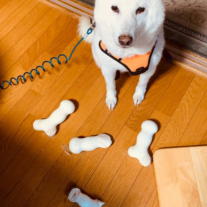 Da02ac58 dfff 40e1 99d1 3e25e21286e2 1666839134962