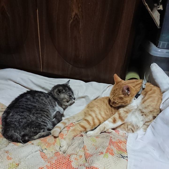 Da02d6c5 4252 4137 a947 11c815019499 1591099990541