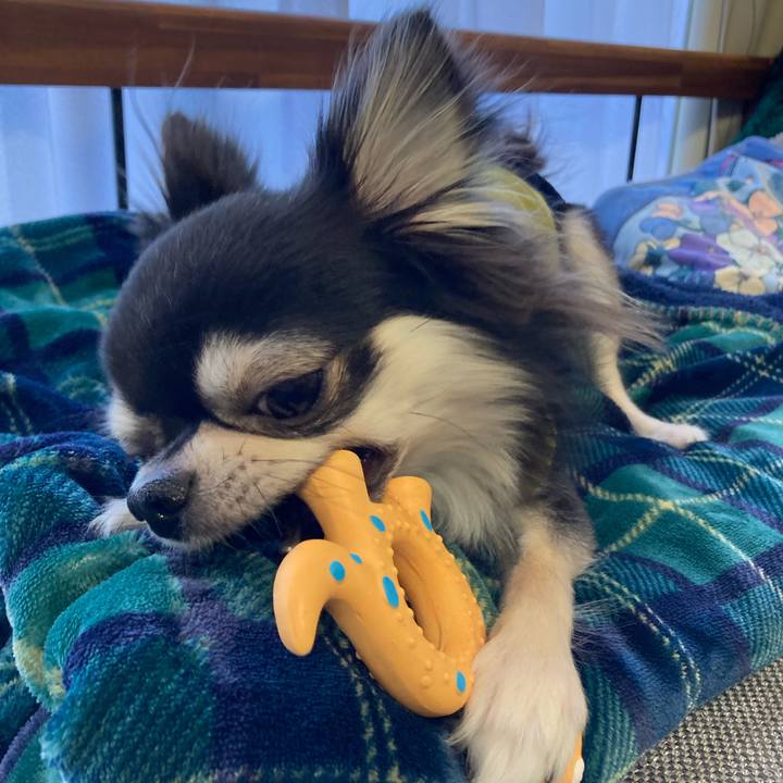 Da02f4f2 249c 4b1e a924 b6b182f965d9 1644135329172