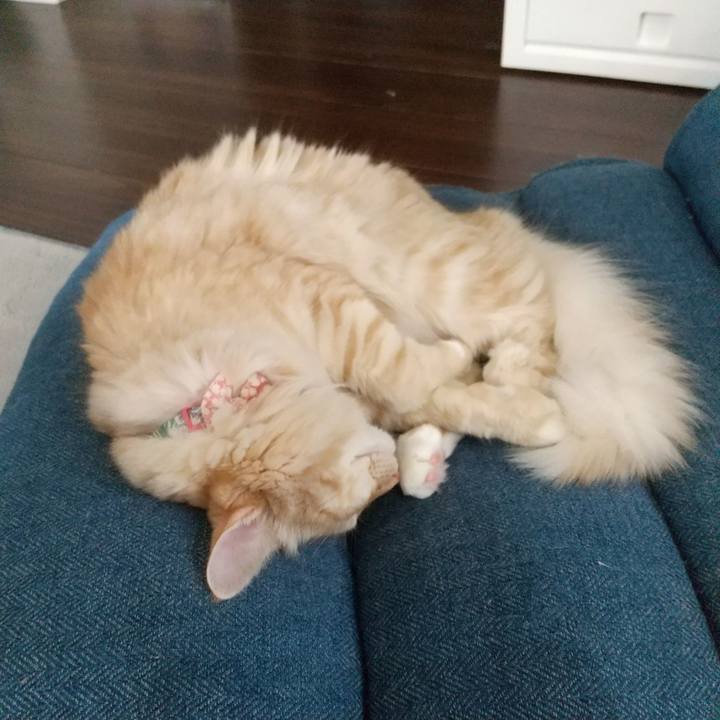 Da030930 a7d7 476e 92f8 bb74bdd65e2b 1632540429442