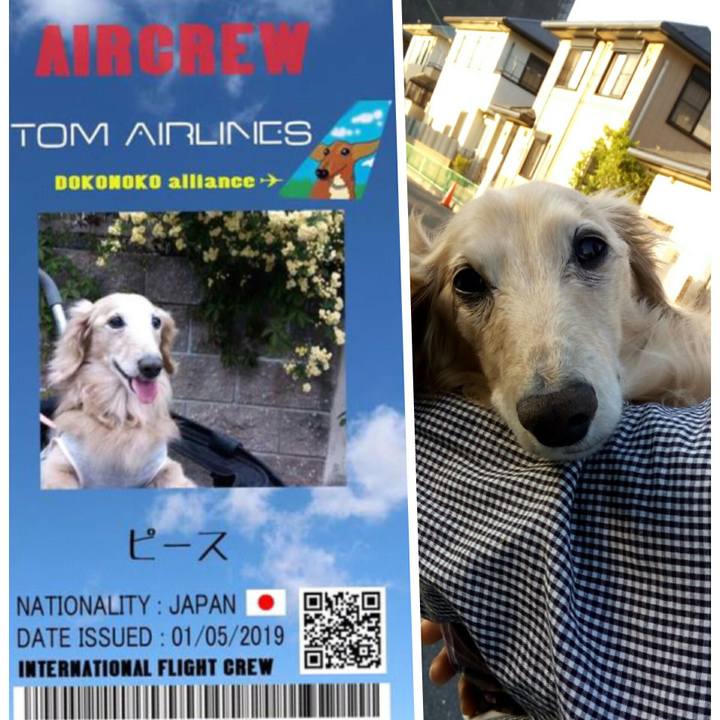 Da0325f0 4c51 428f 969d 4f5cf821baa3 1556985089100