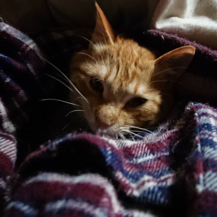 Da033112 628c 4fb4 806d 46981cea40f5 1644268004182