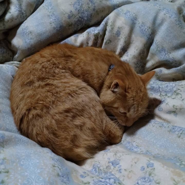 Da039af6 acd0 43b9 aef1 ca15babf9686 1665750980852